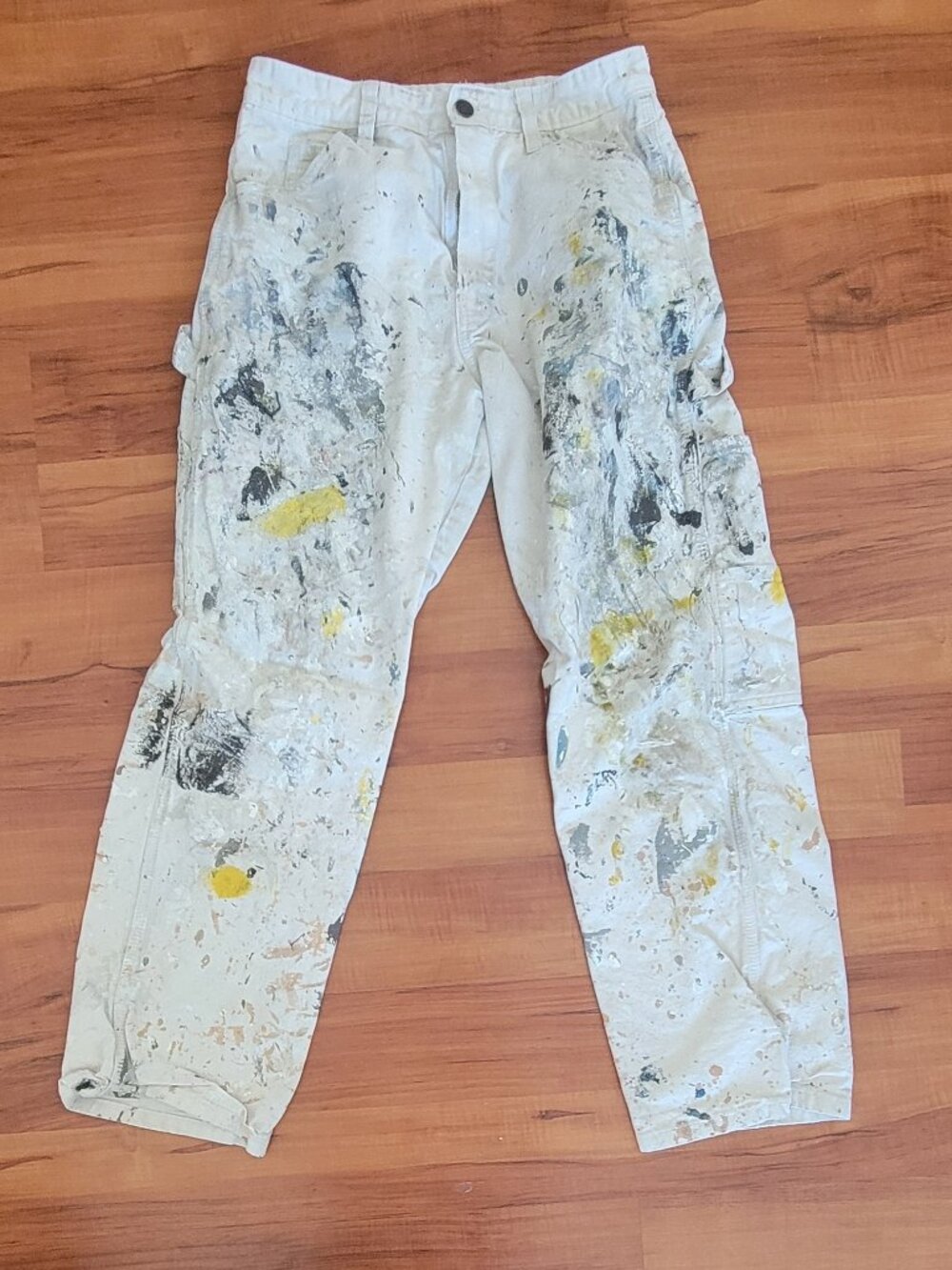 Used Painter's Pants